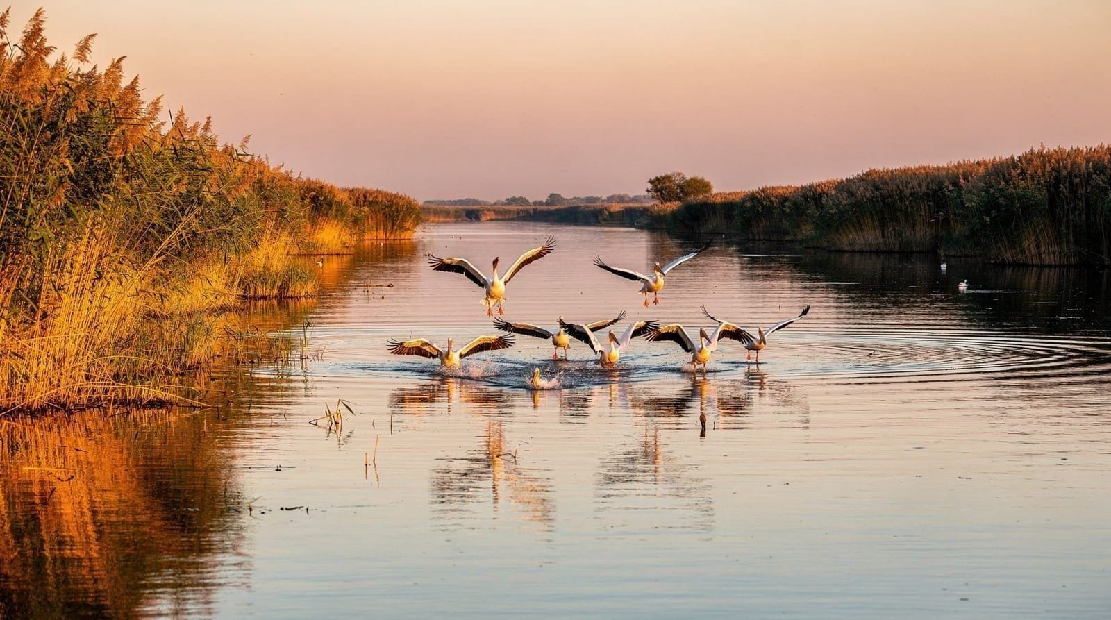 Delta del Danubio, Bucharest and surroundings
