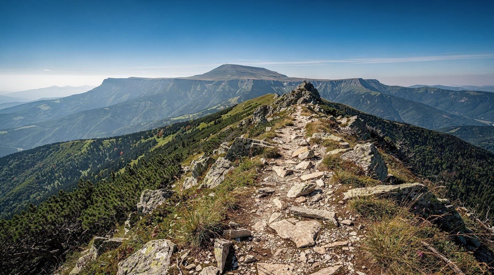 Bucarest y los Cárpatos — itinerario de montaña de 4 días — Cuatro días combinando Bucarest con Sinaia, el Castillo de Peleș y la Carretera 