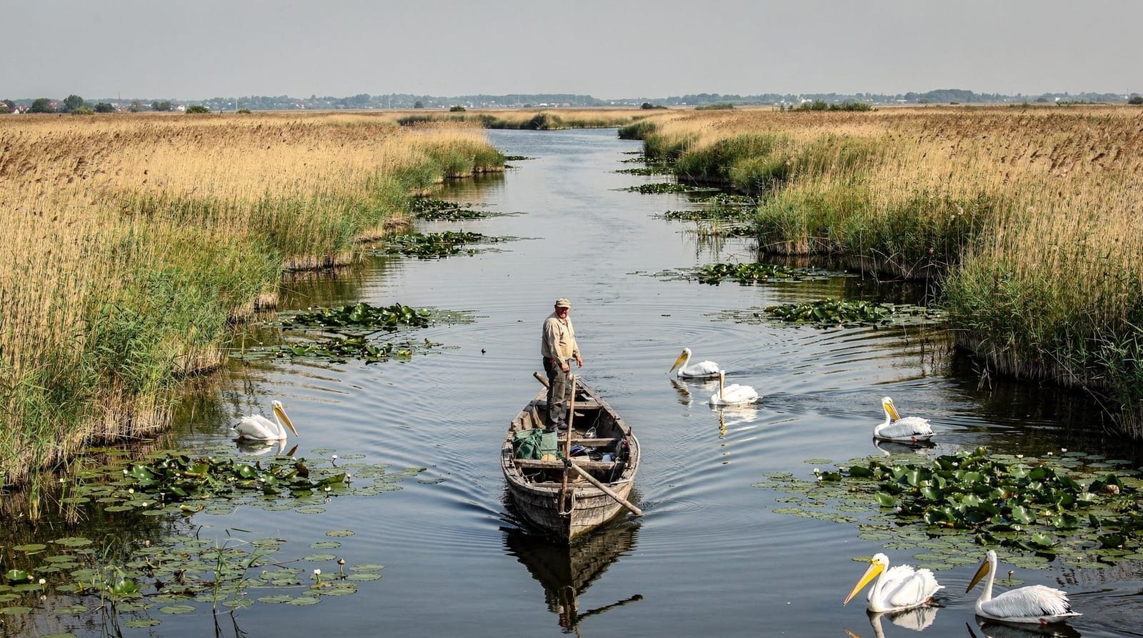 Bucharest: 3 day Danube delta birdwatching private tour