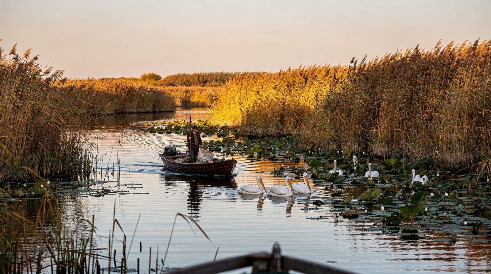 Bucharest: Day trip to Danube delta