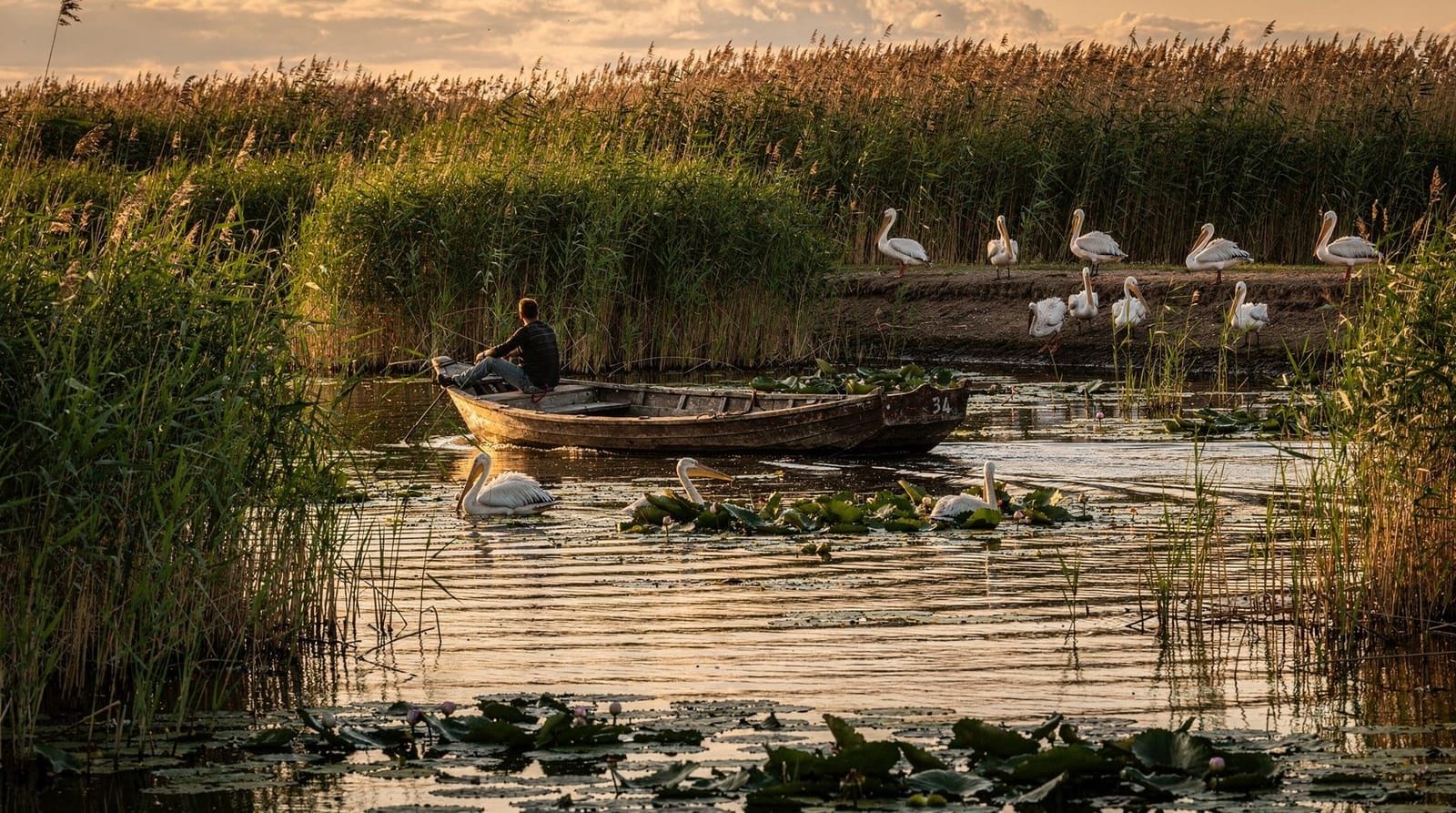 Tulcea: Bucharest tour to Danube delta 2 days with boat tour